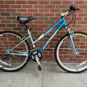 Schwinn Trailway - 15"