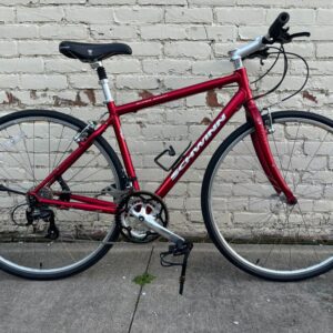 Schwinn Super Sport - 18"